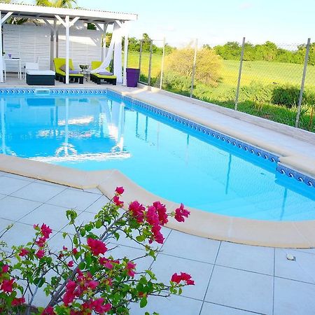 Villa Amethyste Avec Grande Piscine Privee, Jardin Clos, Parking Prive Le Robert Ngoại thất bức ảnh